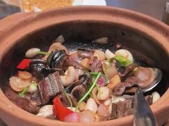 -香港狮子山下·明星粤菜餐厅(北苑店)