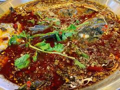 -红牌美蛙鱼头火锅(万辉国际广场店)
