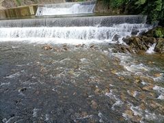 -阿哈湖国家湿地公园