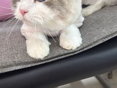 -酷狗靓猫宠物·洗护·美容·寄养(航北路店)