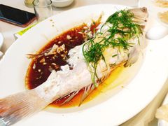 -海儀美食楼(湾仔海鲜街店)