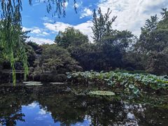 -秋霞圃