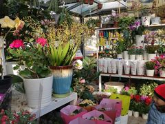 -北京植物园-展览温室