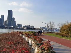 -上海山野camping·户外天幕烧烤·团建拓展营地
