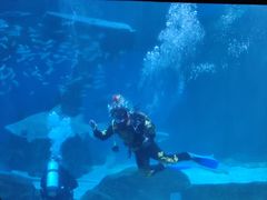 -海合安成都极地海洋公园