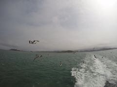 -海驴岛(荣成市)