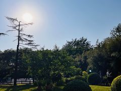 -莲花池公园