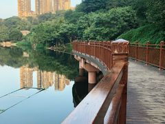 -重庆彩云湖湿地公园