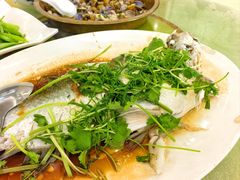 蒸和顺鱼-荣兴河鲜楼