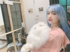 -猫色咖啡·猫咖