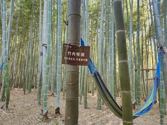 -陶祖圣境风景区
