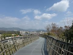 -福道