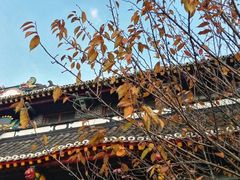 -四川大学(华西校区)