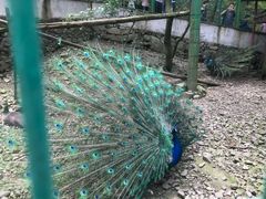 -藏龙百瀑风景区