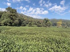 -北高峰
