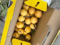 -塘栖枇杷特色园区