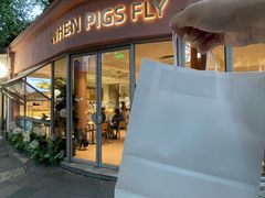 -WHEN PIGS FLY当猪飞