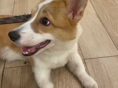 -天井·丑面包搭咖啡
