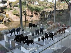 -罗红摄影艺术馆