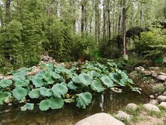 -林间山庄