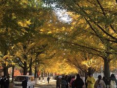 -辽东学院(南校区)