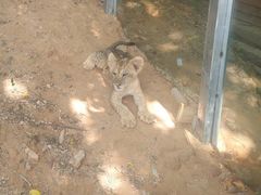 -泉州海丝野生动物世界