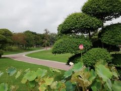 -南通洲际绿博园