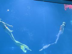 -福州罗源湾海洋世界旅游区