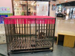 -Moni星球萌宠·小马宝莉·灵蛇·高端高阶全萌宠互动体验俱乐部(红豆国际广场店)