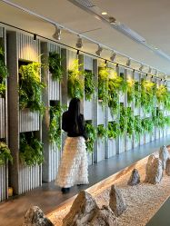 -VELEE·SPA高定疗愈会所