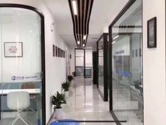 -新航道·雅思托福·Alevel AP·留学考研(光谷校区)
