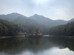-黄陂区野村谷景区