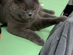 -瑞鹏瑞爱宠物医院·全科·猫科·血液透析中心(龙头寺店)