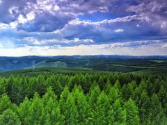 -塞罕坝国家级自然保护区