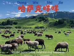 -新疆那拉提国家旅游度假区