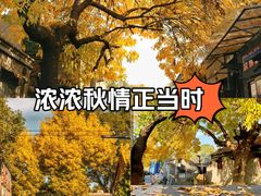 -南锣鼓巷