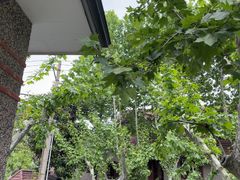 -星巴克臻选(思南公馆店)