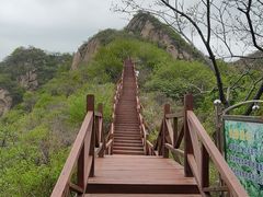 -大岭沟猕猴桃谷风景区