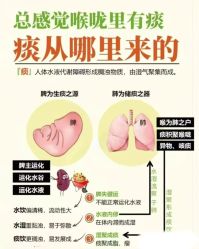-雅曼妮spa美容养生