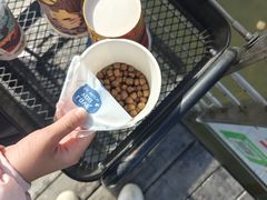 -昆山城市生态森林公园