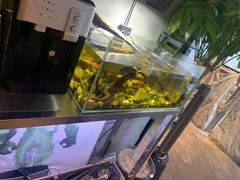 -臻老板牛肉面(光华路SOHO店)