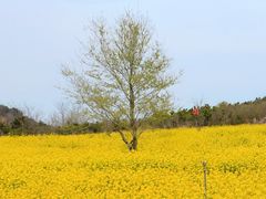 -西海岸生态观光园
