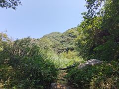 -抱龙峪