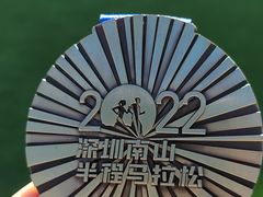 -华润深圳湾体育中心-“春茧” 体育馆