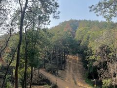 -青龙山国家森林公园