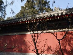 -国家植物园