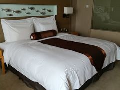 -秦皇岛秦皇国际大酒店