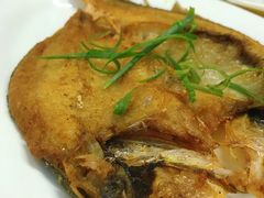 东海黄花鱼（香煎）-海鲜街菜馆(海珠南路店)
