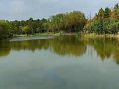 -上海长兴岛郊野公园