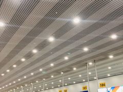 -谢列梅捷沃国际机场